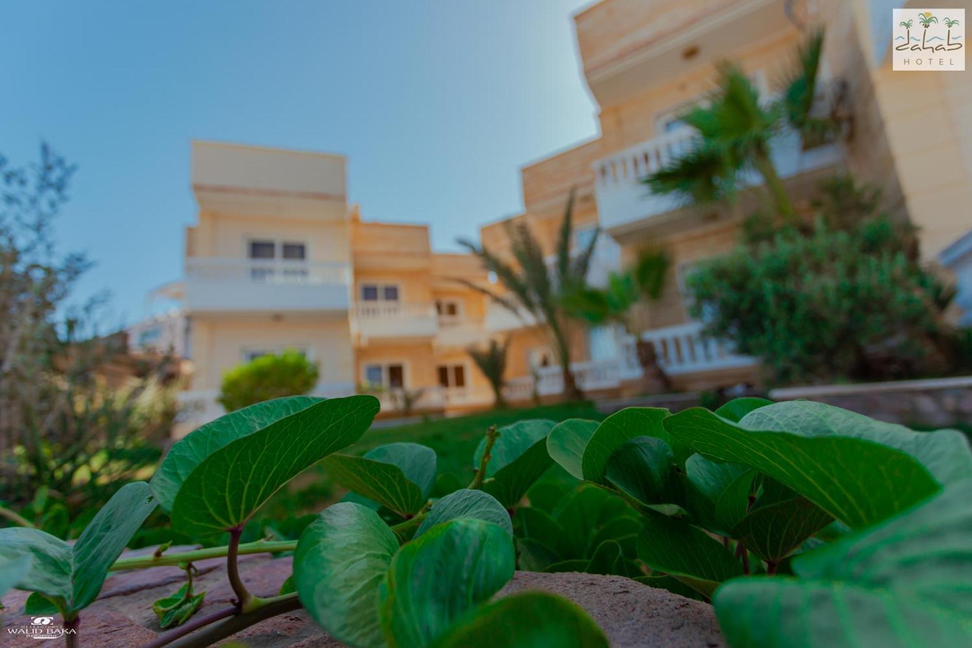 Dahab Hotel מראה חיצוני תמונה